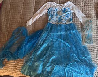 Elsa Costume and Acessories