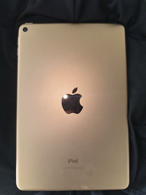 iPad 5 Mini