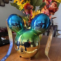 Disneyland Popcorn Bucket