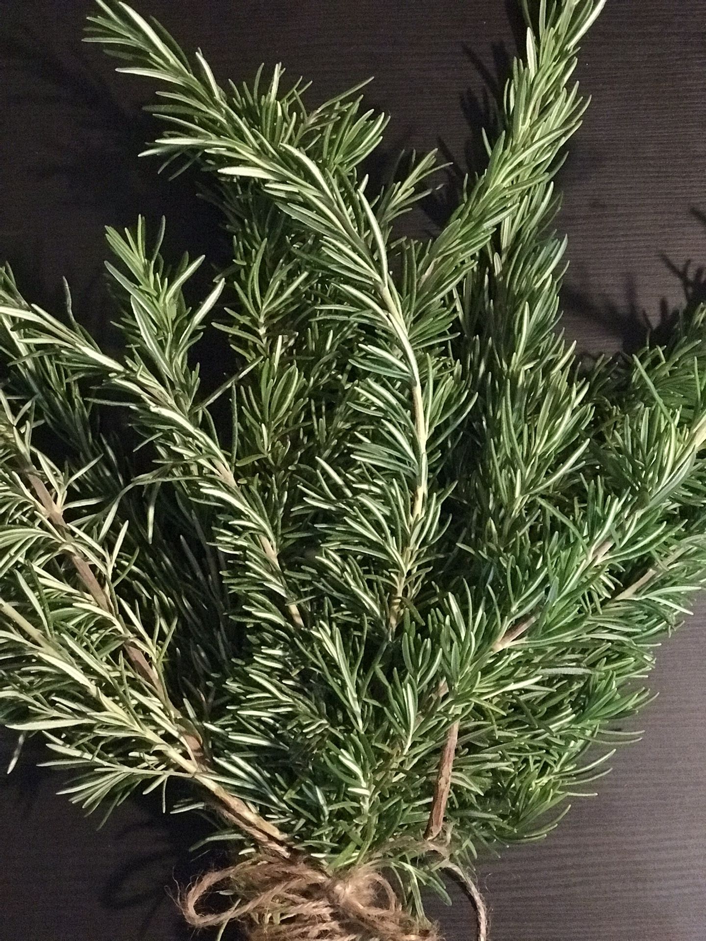 Rosemary Sprigs!