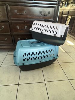 Dog Kennel 