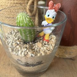 Plantas  Naturals
