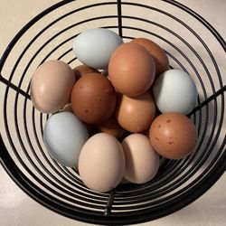 Farm Fresh Eggs