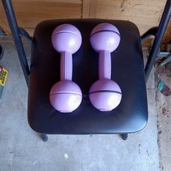 Pair Of Everlast 5 Lb Dumbbells