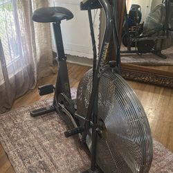 Vintage Schwinn Airdyne Exercise Bike