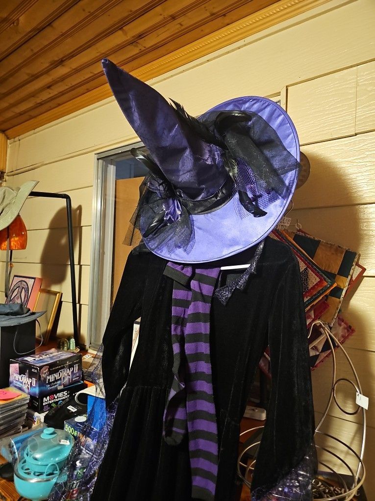 Witch Costume Dress, Hat And Stockings