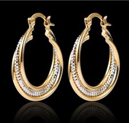 Luxury Hoops Earrings For Women