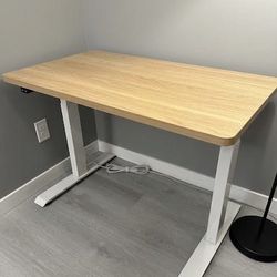 Electric Standing Desk 42”