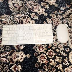 Apple Keyboard And Apple Mouse 