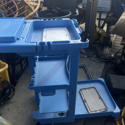 Cleaning Carts