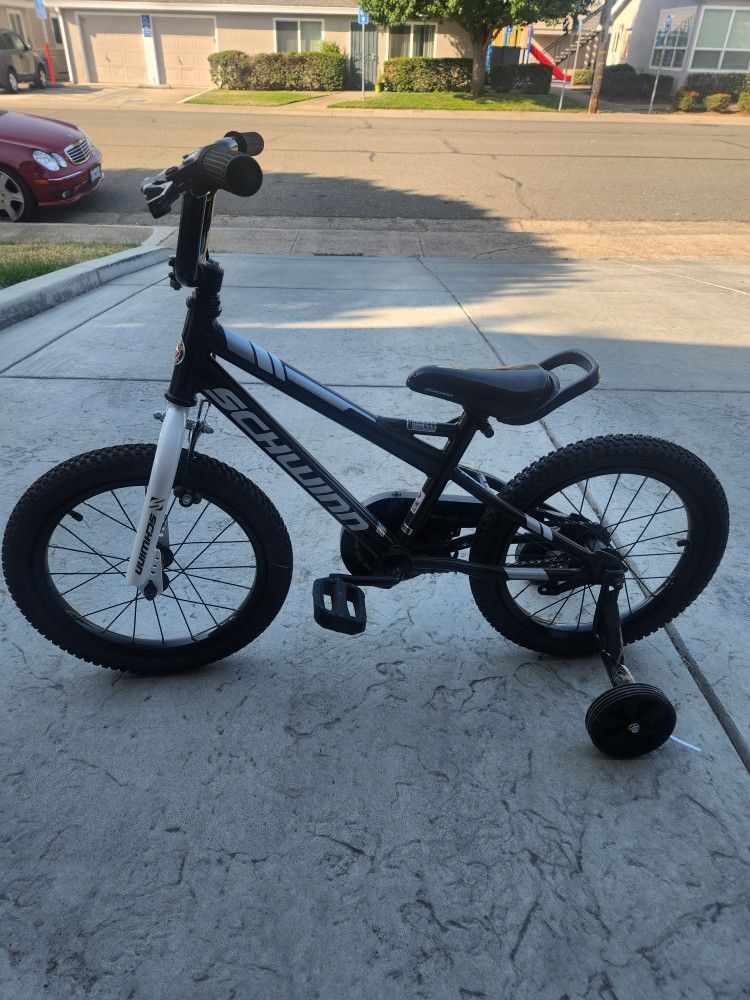 Schwinn Boys Bike