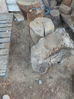 Free Firewood