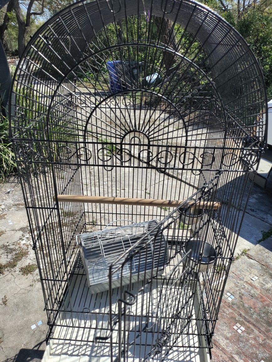 Bird cage 