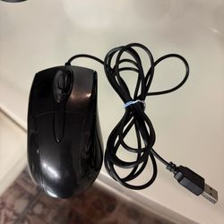 Mouse each