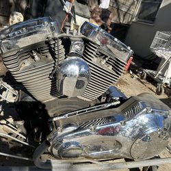 Harley Davidson Softail