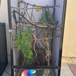 Chameleon Enclosure 
