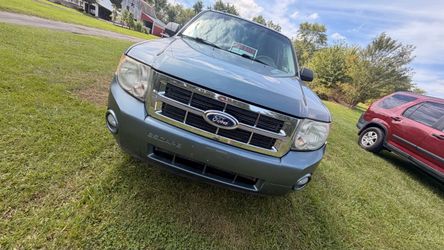 2010 Ford Escape