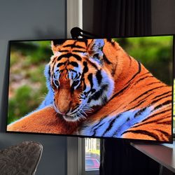 48" 4K OLED TV