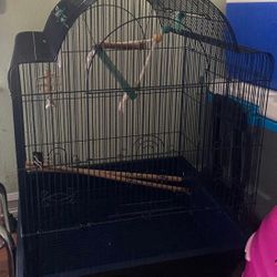 Bird Cage