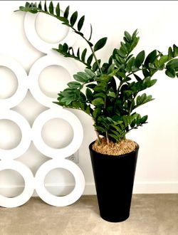 Silk Faux Tree With  Large  Planter