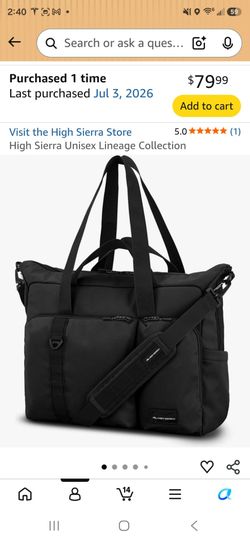 High Sierra travel bag padded