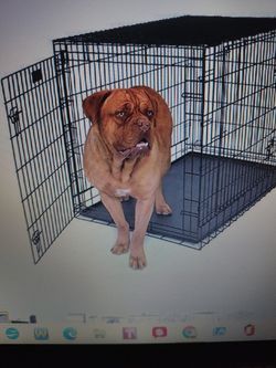 New Pet/Dog Crate, Cage, Kennel, Kennels W/Tray 2XL