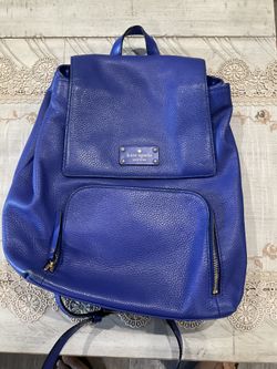 Kate Spade Blue Bag In New Condition