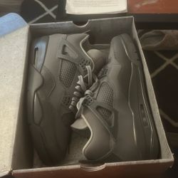 Air Jordan 4retro Se
