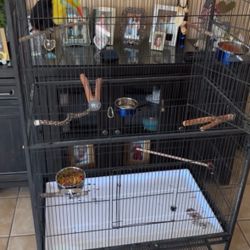 Cage For Birds