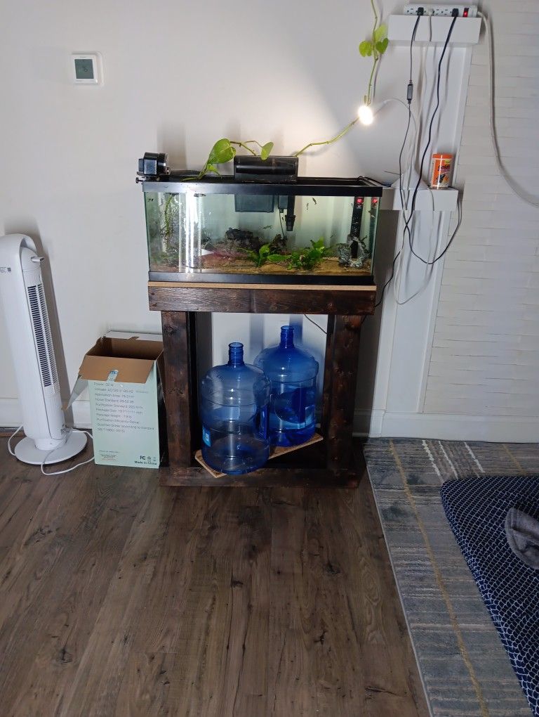 Fish Tank For Sale With Fishes, Filter, Heater, Solid Wood Stand and Automatic Feeder