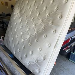 Free Mattress 