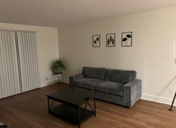 Gently used Grey couch