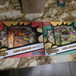 Pokemon Cards Ascended Heroes Embroar And Meganium EX Boxes