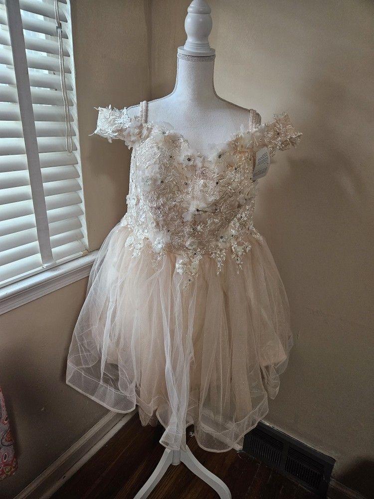 (Brand New) Short Dress 