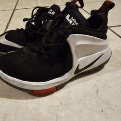 LeBrons Witness