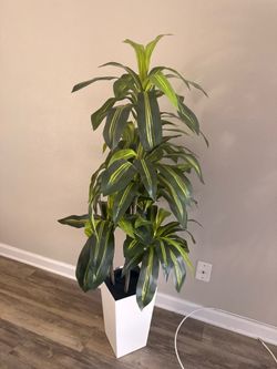 Artificial Dracaena plant
