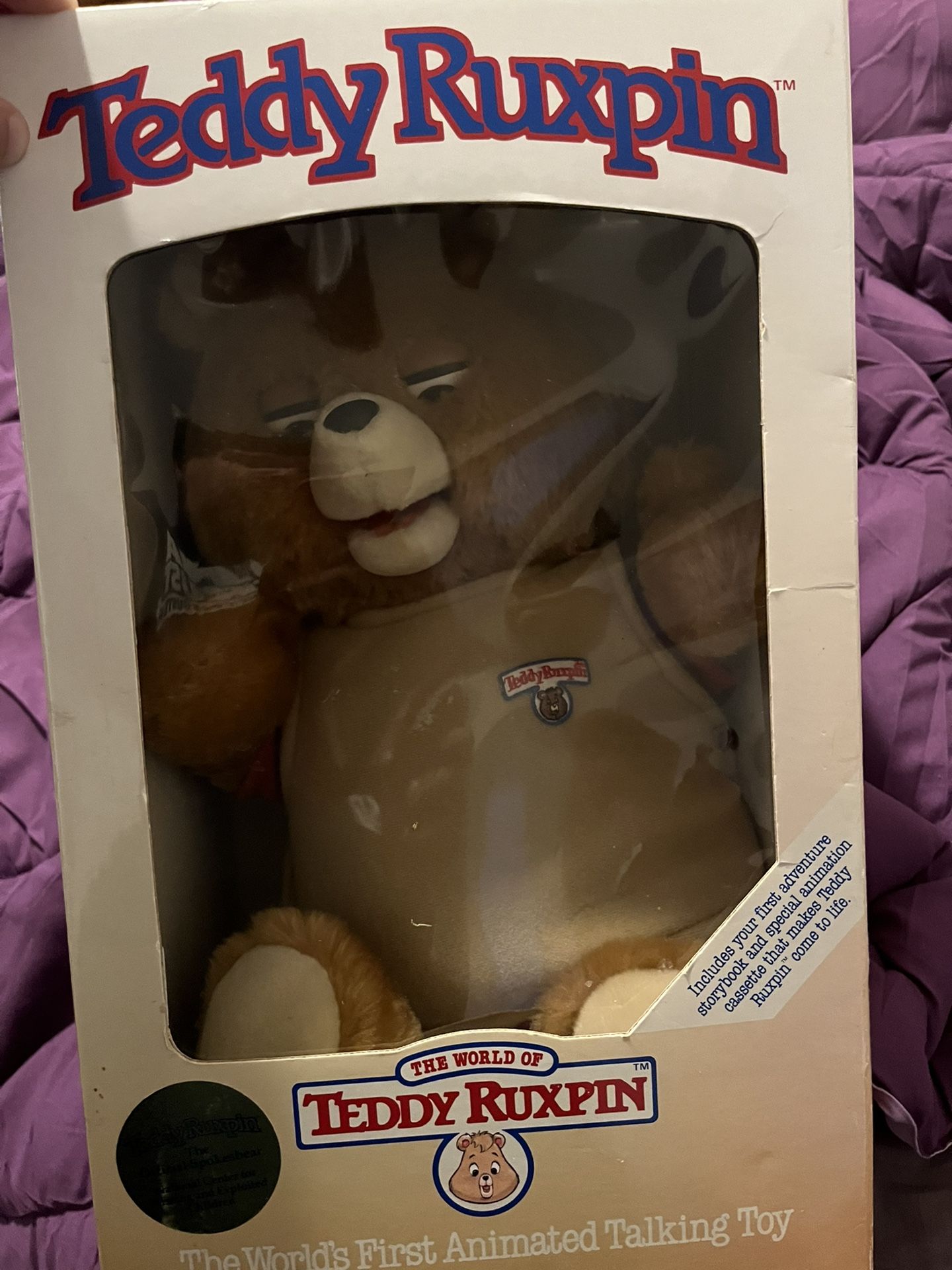 Teddy Bear Brand New In Box 