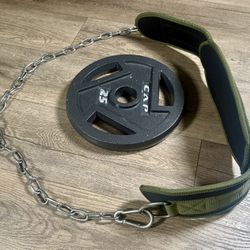  Seektop Weightlifting Dip Belt with a 25 lbs CAP  Weight Plate