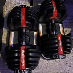 Bowflex Adjustable Weight 