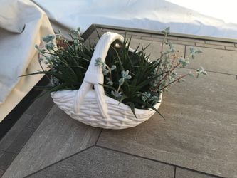 A white ceramic basket full of zebra succulent & ice plants
