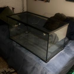 50 Gallon Fish Tank