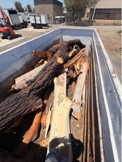 Tree Logs Wood