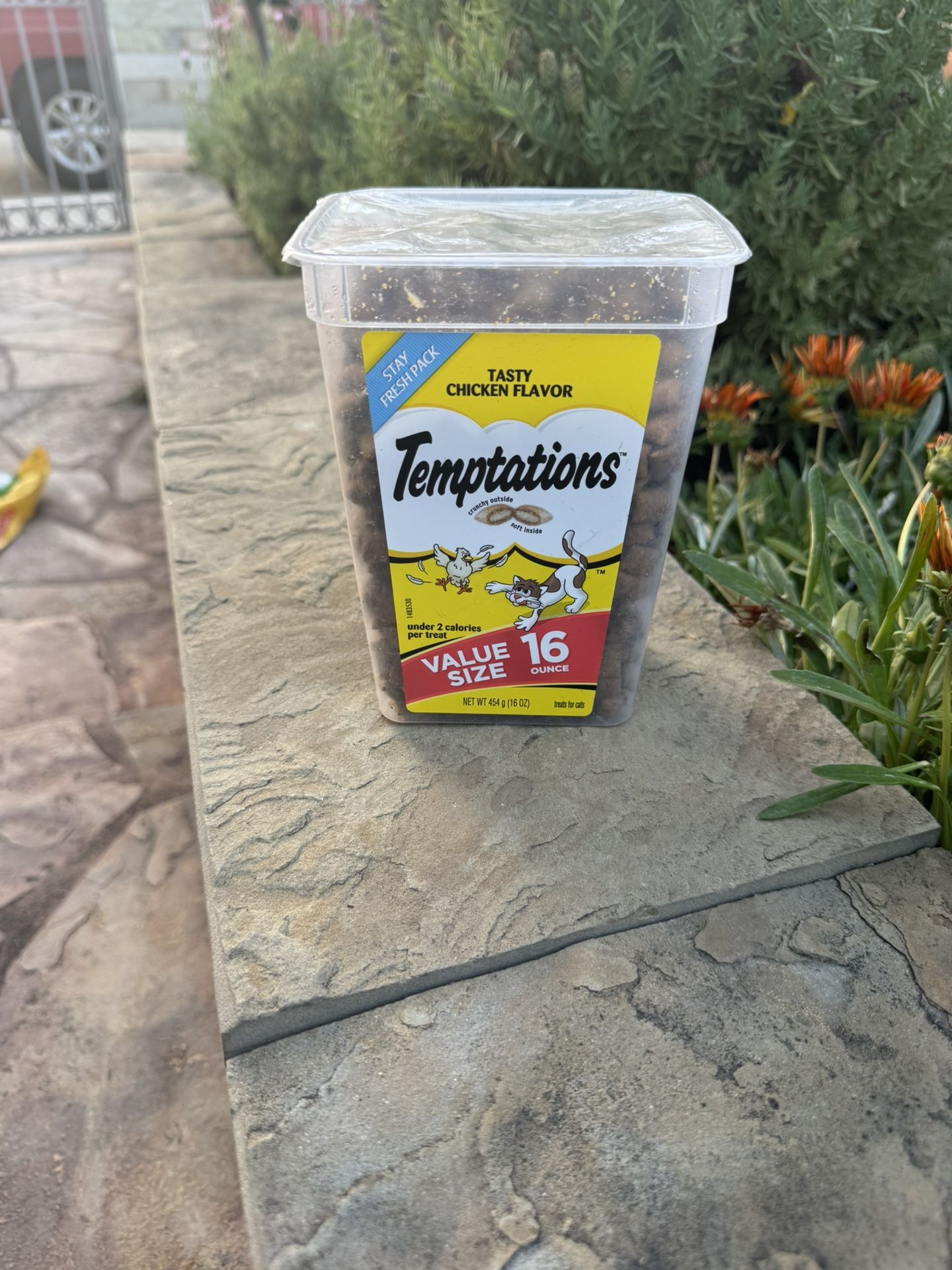 Temptation Taste Chicken, Flavor For Cat
