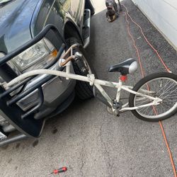 WeeRide co Pilot Bike Trailer 