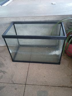 20 gallon tank