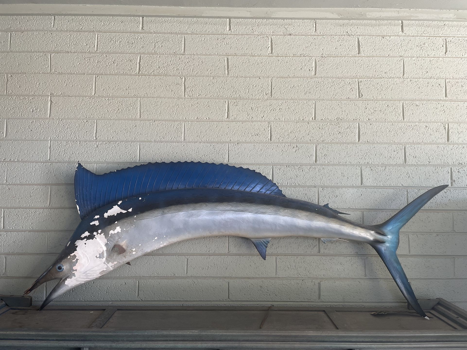Marlin