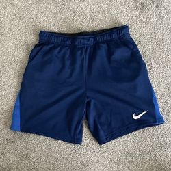 Nike Mens Gym/Basketball Shorts 