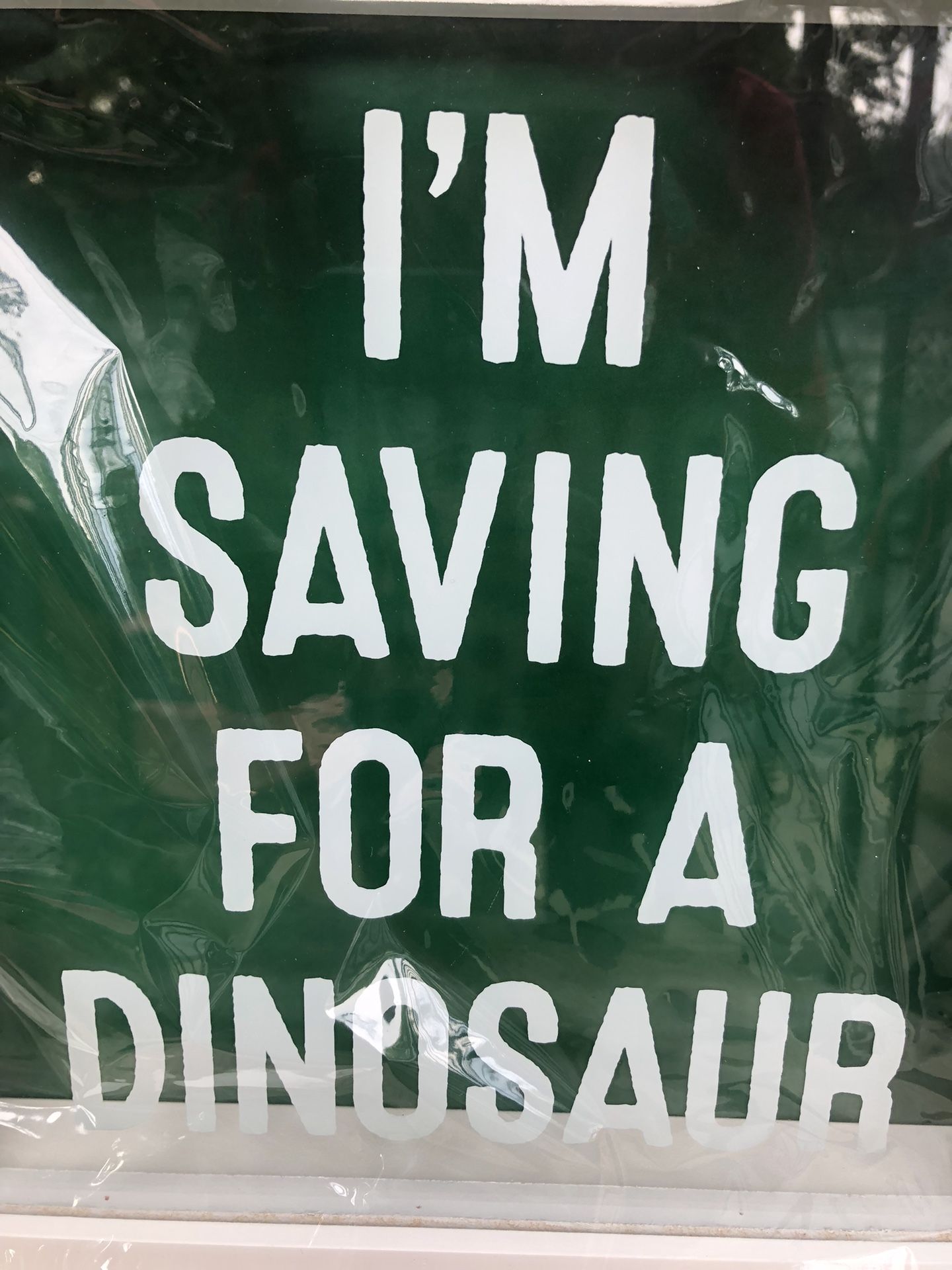 I’m Saving For A Dinosaur savings bank of