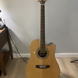 Zager 900CE Acoustic Electric 