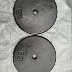 25lbs Weights